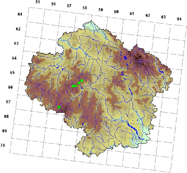 Mapa výskytu - kalichovka rašeliníková - Arrhenia sphagnicola