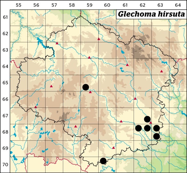 Mapa výskytu - popenec chlupatý - Glechoma hirsuta