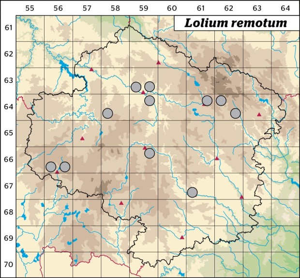 Mapa výskytu - jílek oddálený - Lolium remotum