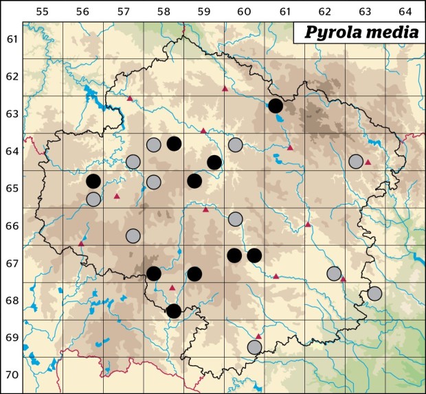 Mapa výskytu - hruštička prostřední - Pyrola media