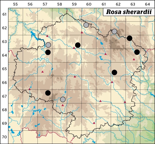 Mapa výskytu - růže sherardova - Rosa sherardii