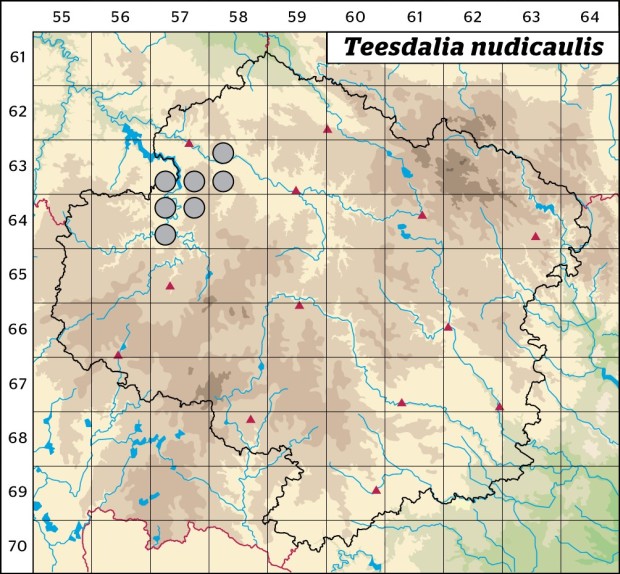 Mapa výskytu - nahoprutka písečná - Teesdalia nudicaulis