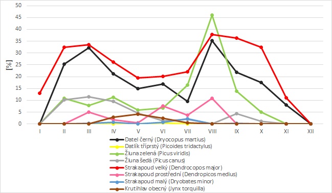 Porovnání procentuálního zastoupení jednotlivých druhů šplhavců v kompletních seznamech z akustického mapování (zvukově se projevující druhy na pořízených nahrávkách) na Vysočině v jednotlivých měsících během roku.