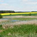 ryb. Velká Štěpnice, 4.5.2014, foto Vojtěch Kodet