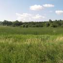 ryb. Velká Štěpnice, 16.7.2009, foto Vojtěch Kodet
