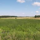 ryb. Velká Štěpnice, 16.7.2009, foto Vojtěch Kodet