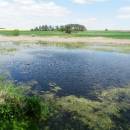 ryb. Velká Štěpnice, 4.5.2014, foto Vojtěch Kodet