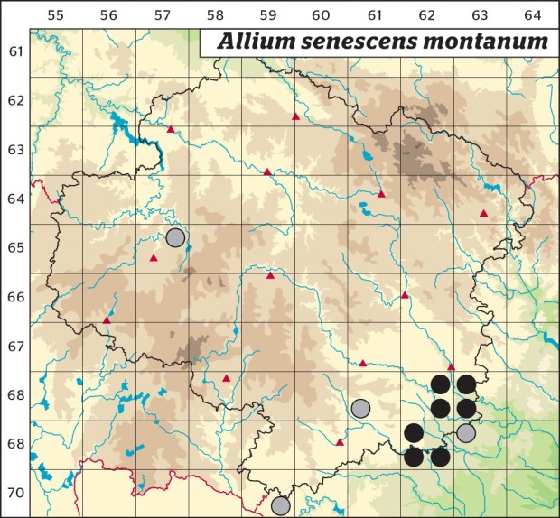 Mapa výskytu - česnek šerý horský - Allium senescens subsp. montanum