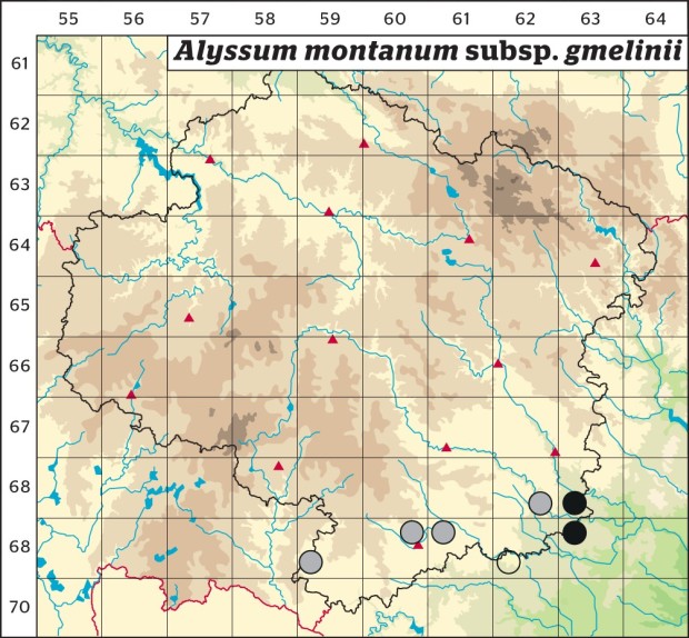 Mapa výskytu - tařice horská gmelinova - Alyssum montanum subsp. gmelinii