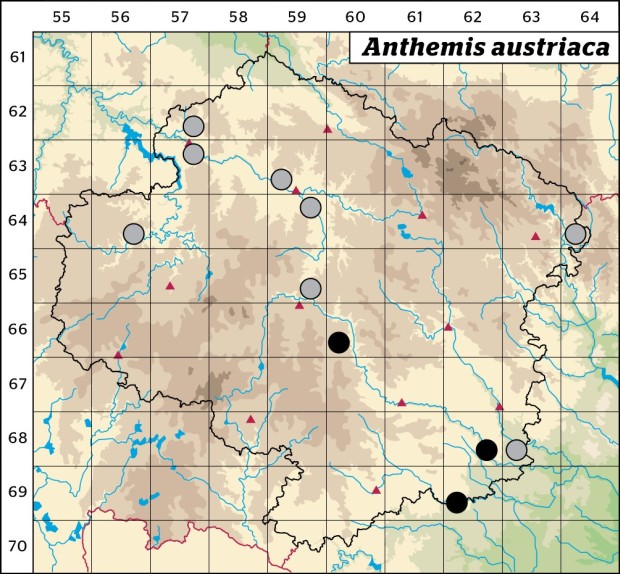 Mapa výskytu - rmen rakouský - Anthemis austriaca