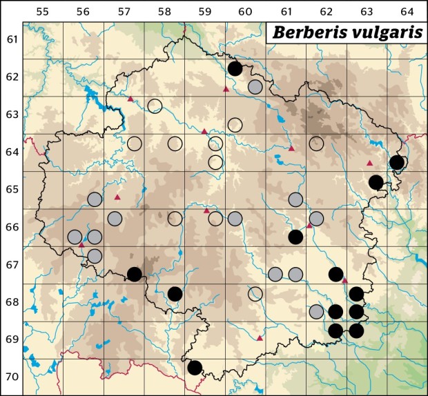Mapa výskytu - dřišťál obecný - Berberis vulgaris