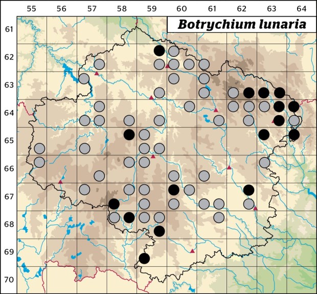 Mapa výskytu - vratička měsíční - Botrychium lunaria