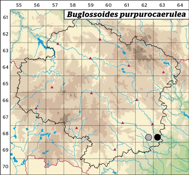 Mapa výskytu - kamejka modronachová - Buglossoides purpurocaerulea