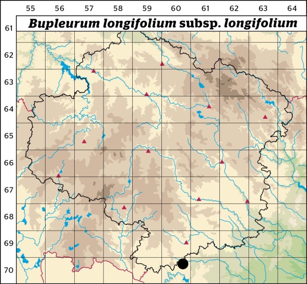 Mapa výskytu - prorostlík dlouholistý pravý - Bupleurum longifolium subsp. longifolium