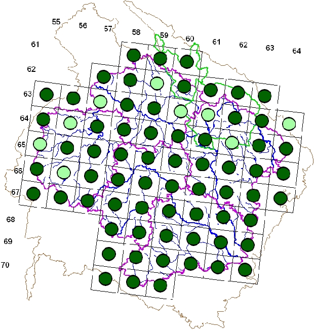 Mapa výskytu - káně lesní - Buteo buteo
