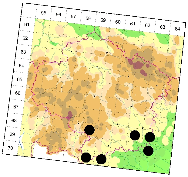Mapa výskytu - skálovka Schuszterova - Callilepis schuszteri