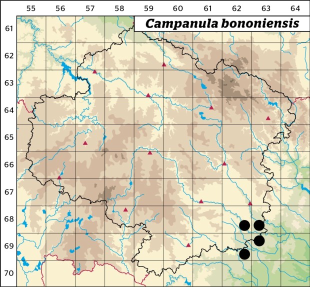 Mapa výskytu - zvonek boloňský - Campanula bononiensis