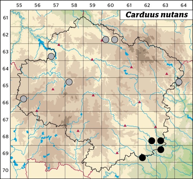 Mapa výskytu - bodlák nicí - Carduus nutans