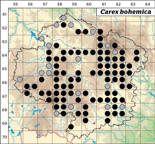 Mapa výskytu - ostřice šáchorovitá - Carex bohemica
