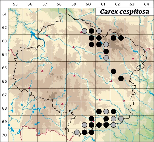 Mapa výskytu - ostřice trsnatá - Carex cespitosa