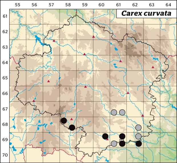 Mapa výskytu - ostřice křivoklasá - Carex curvata