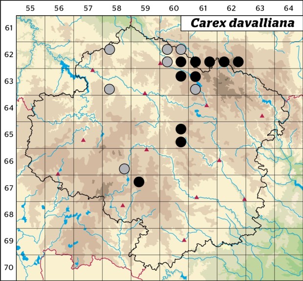 Mapa výskytu - ostřice davallova - Carex davalliana