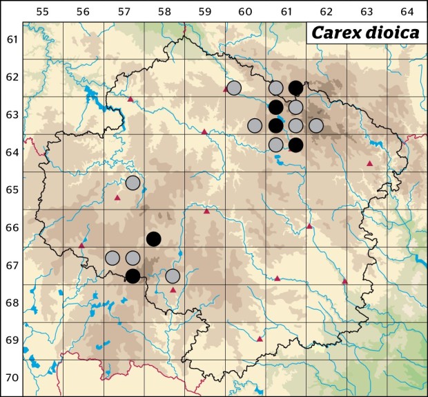 Mapa výskytu - ostřice dvoudomá - Carex dioica