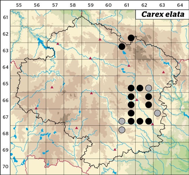 Mapa výskytu - ostřice vyvýšená - Carex elata