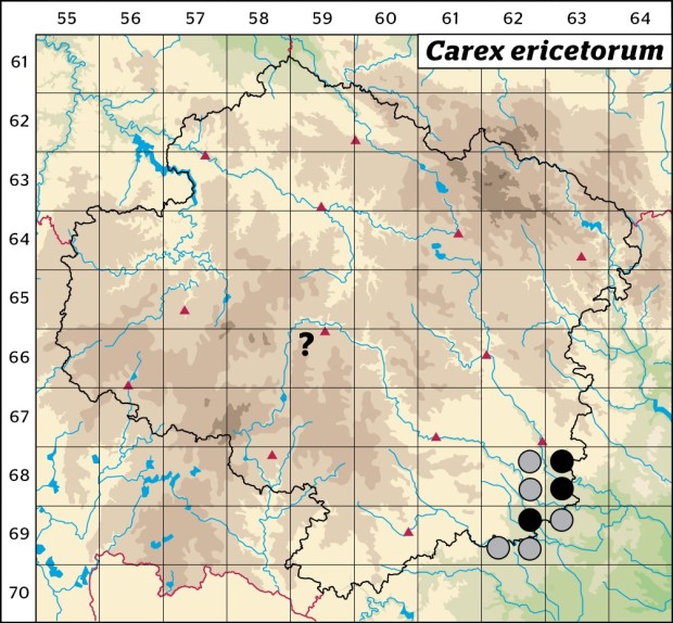 Mapa výskytu - ostřice vřesovištní - Carex ericetorum