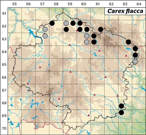 Mapa výskytu - ostřice chabá - Carex flacca