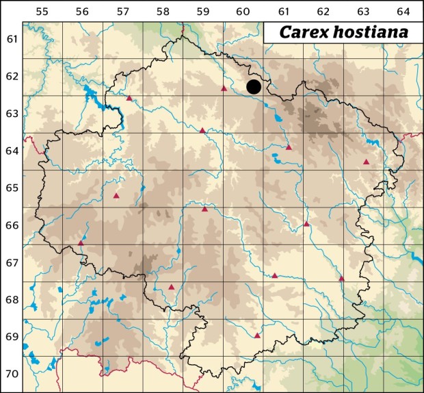 Mapa výskytu - ostřice hostova - Carex hostiana