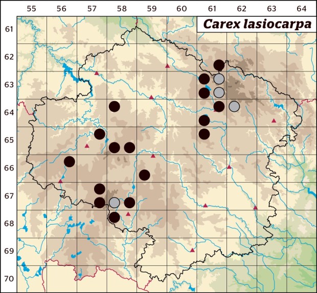 Mapa výskytu - ostřice plstnatoplodá - Carex lasiocarpa