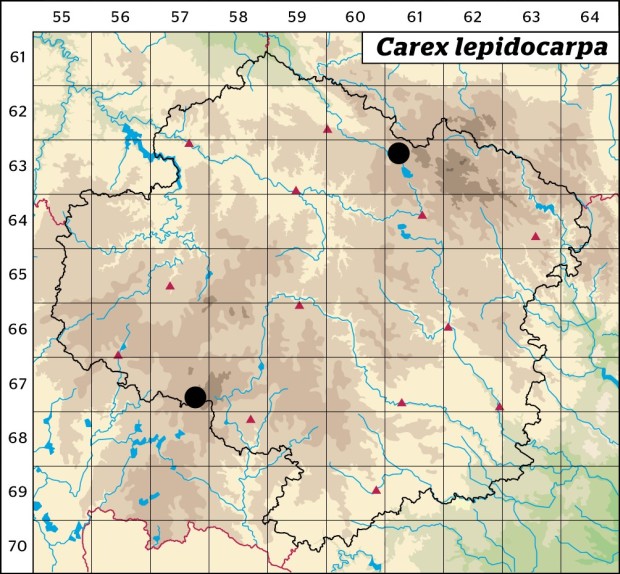 Mapa výskytu - ostřice šupinoplodá - Carex lepidocarpa
