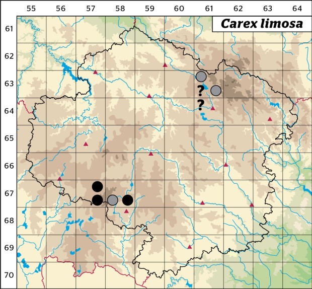Mapa výskytu - ostřice bažinná - Carex limosa