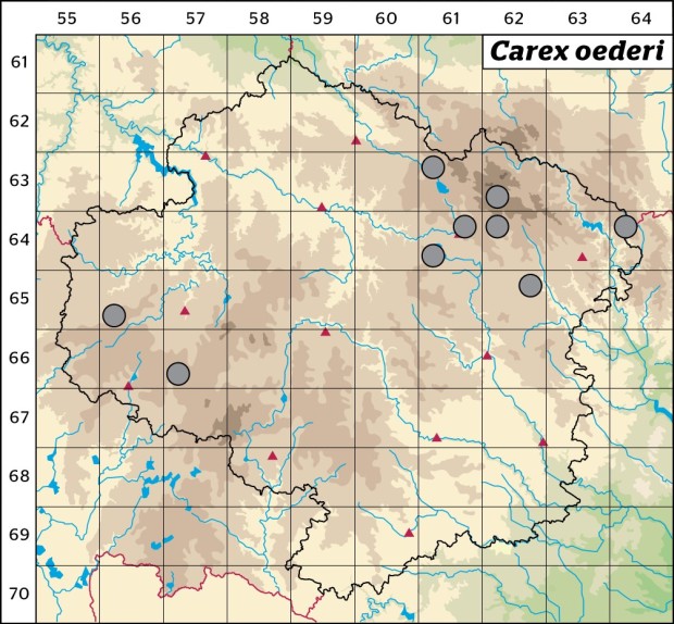 Mapa výskytu - ostřice pozdní - Carex oederi