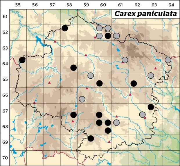 Mapa výskytu - ostřice latnatá pravá - Carex paniculata