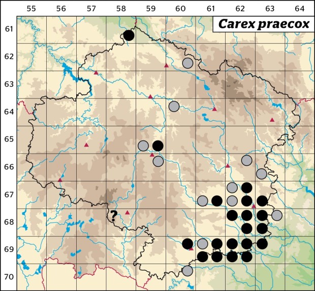 Mapa výskytu - ostřice časná - Carex praecox