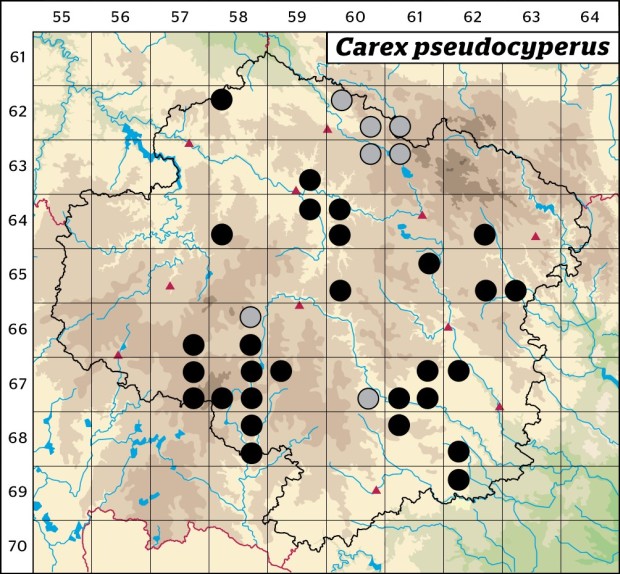 Mapa výskytu - ostřice nedošáchor - Carex pseudocyperus