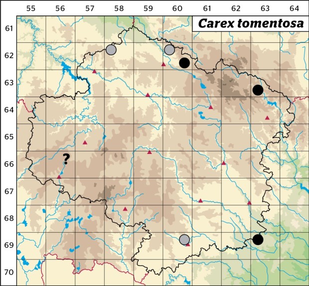 Mapa výskytu - ostřice plstnatá - Carex tomentosa