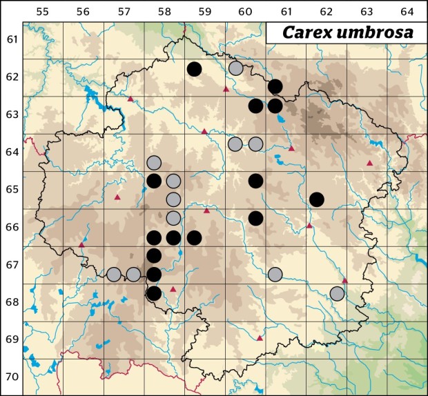 Mapa výskytu - ostřice stinná - Carex umbrosa