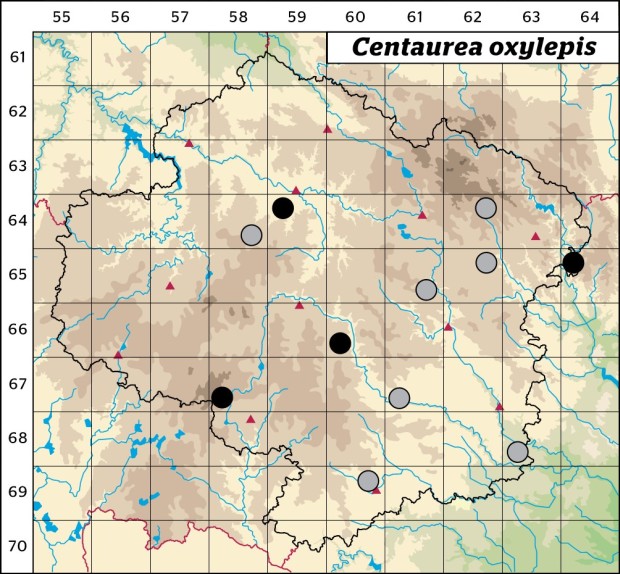 Mapa výskytu - chrpa ostroperá - Centaurea oxylepis