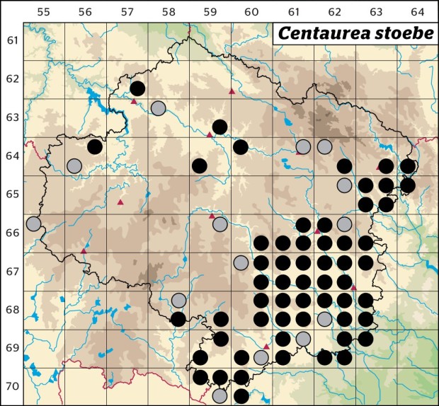 Mapa výskytu - chrpa latnatá - Centaurea stoebe