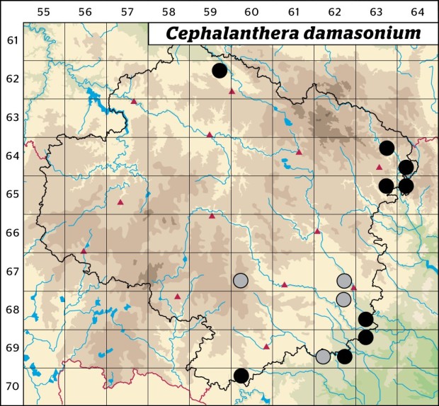 Mapa výskytu - okrotice bílá - Cephalanthera damasonium