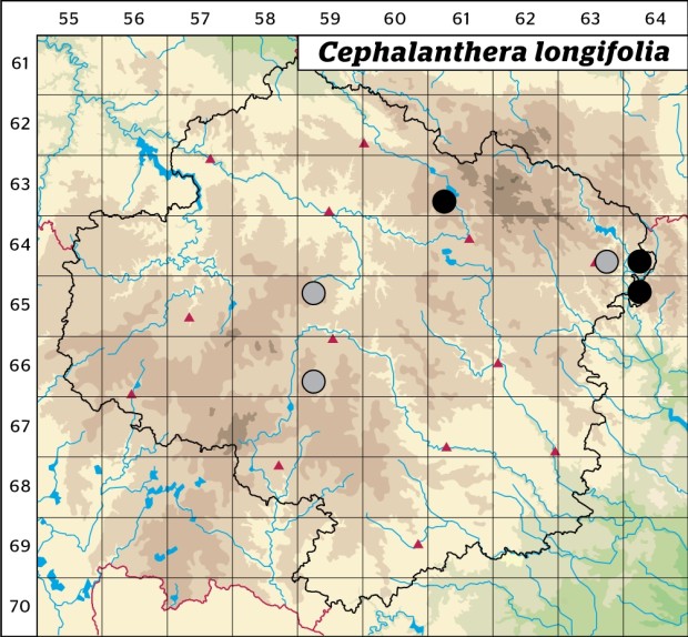 Mapa výskytu - okrotice dlouholistá - Cephalanthera longifolia