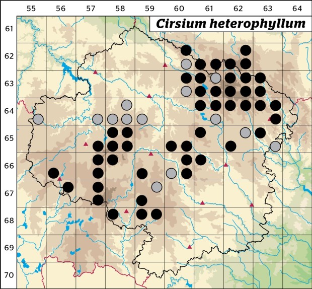 Mapa výskytu - pcháč různolistý - Cirsium heterophyllum