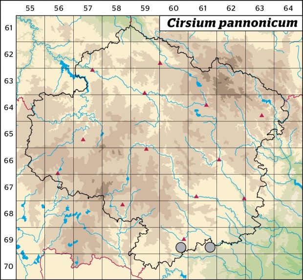 Mapa výskytu - pcháč panonský - Cirsium pannonicum