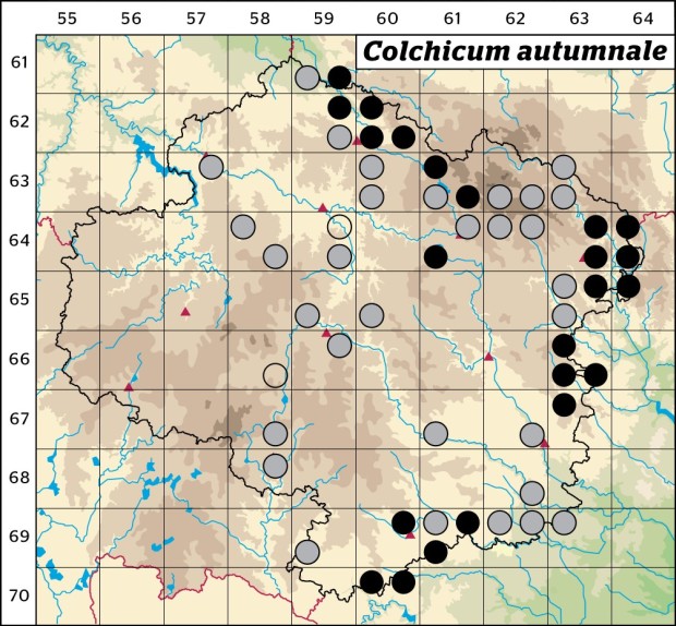 Mapa výskytu - ocún jesenní - Colchicum autumnale