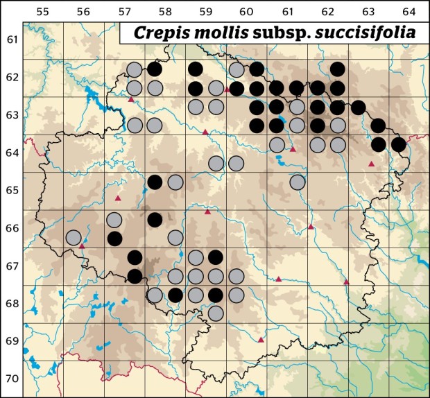 Mapa výskytu - škarda měkká čertkusolistá - Crepis mollis subsp. succisifolia