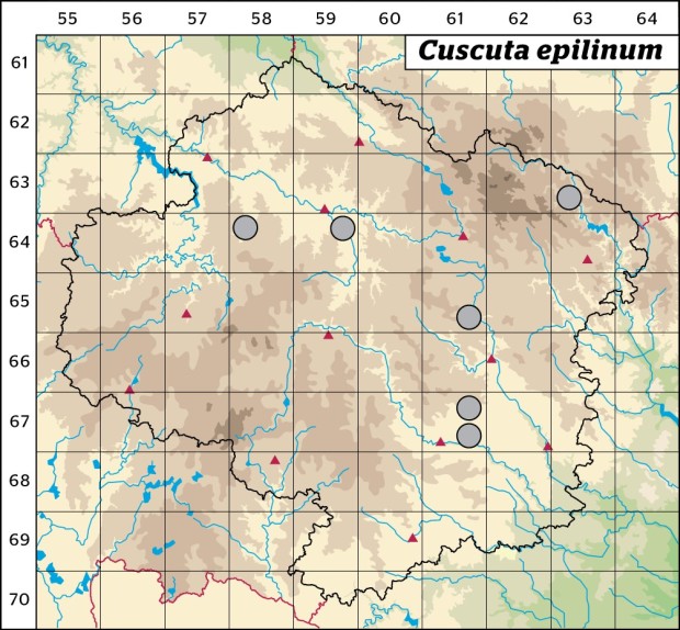 Mapa výskytu - kokotice hubilen - Cuscuta epilinum