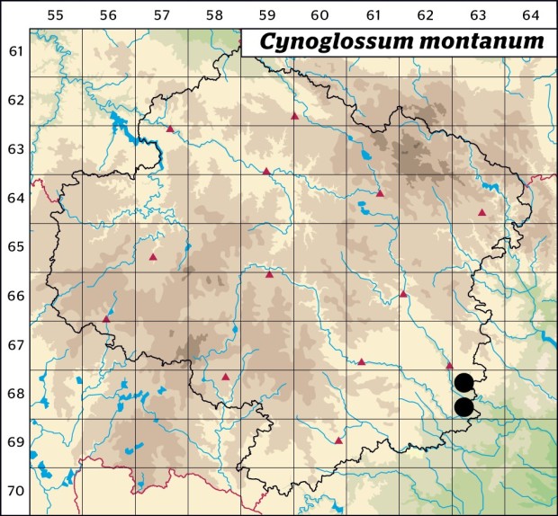 Mapa výskytu - užanka uherská - Cynoglossum montanum